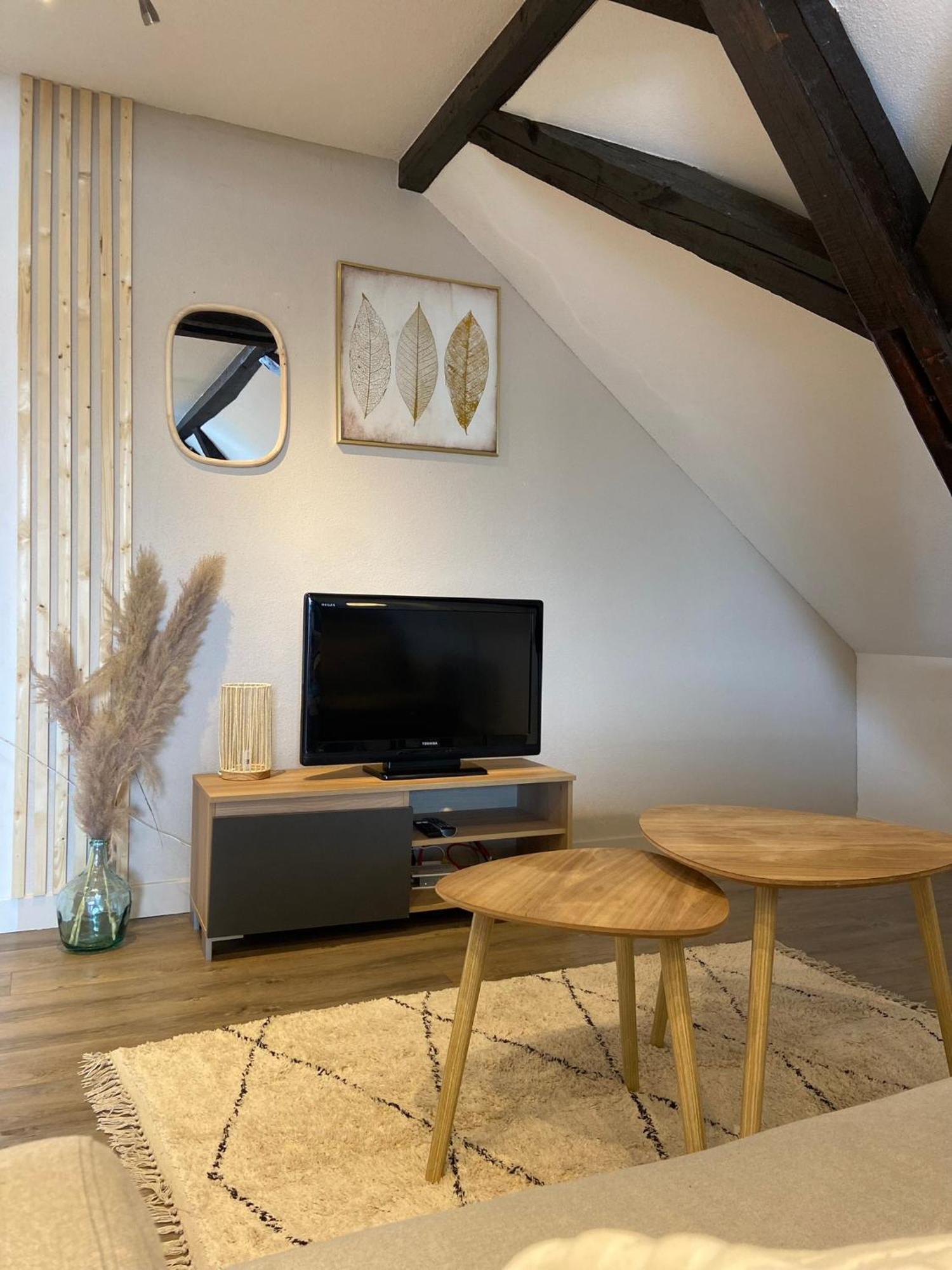 Bel Appartement 2 Pieces Soufflenheim 외부 사진